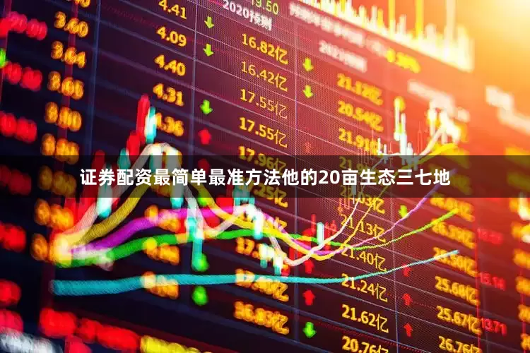 证券配资最简单最准方法他的20亩生态三七地