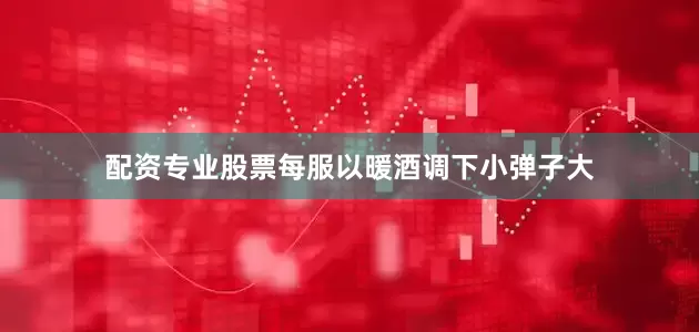 配资专业股票每服以暖酒调下小弹子大