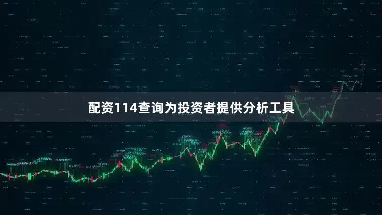 配资114查询为投资者提供分析工具